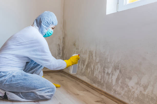 Licensed Crawl Space Mold Removal service in Catlett, VA - WQB Mold Removal