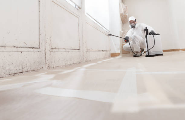 24/7 Emergency Crawl Space Mold Removal experts in Catlett, VA
