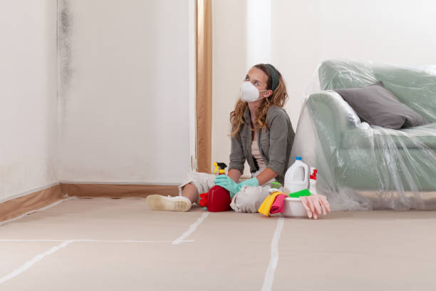 Reliable Crawl Space Mold Removal contractor in Catlett, VA by WQB Mold Removal