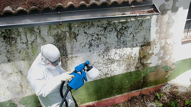 Top rated local Crawl Space Mold Removal specialists in Catlett, VA